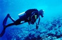 Fort Lauderdale SCUBA Diving